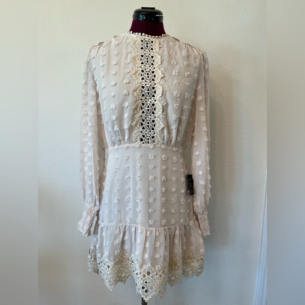 Lulus cream embroidered lace long sleeve dress